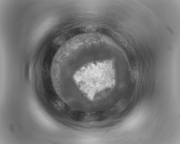 X0000116020335200912041755