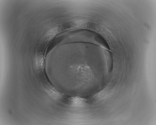 X0000116020336200912041755