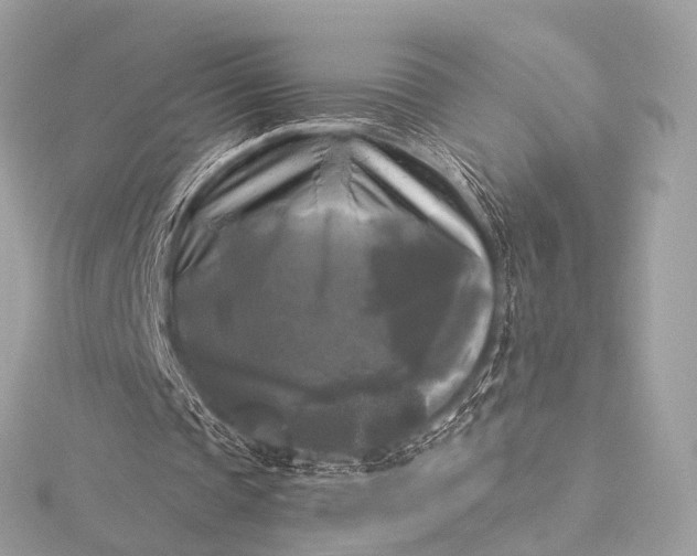 X0000116020337200912041755