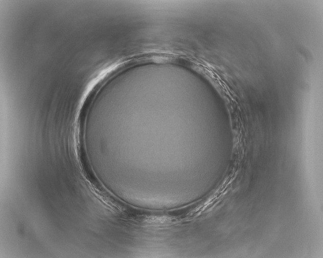 X0000116020342200912041755