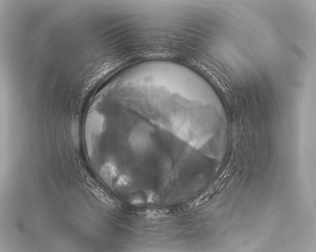 X0000116020345200912041755