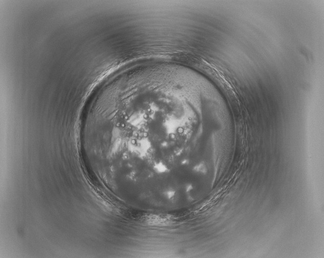 X0000116020346200912041755