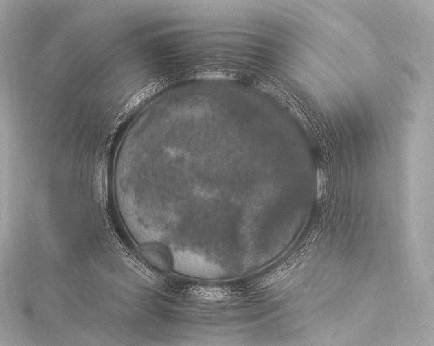 X0000116020349200912041755