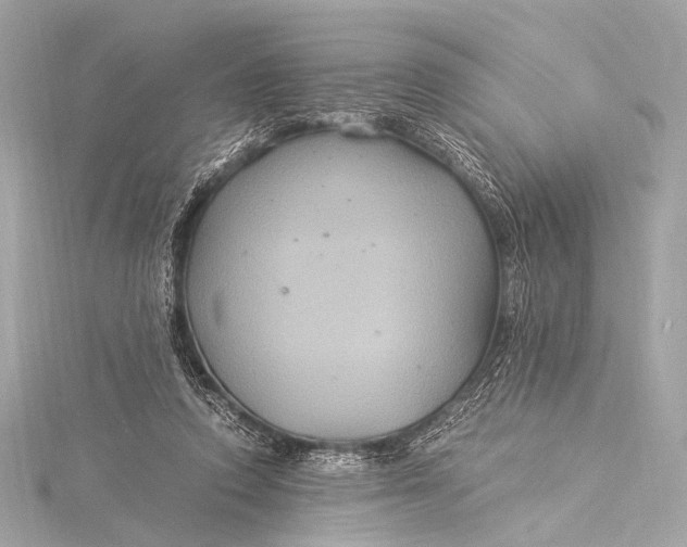 X0000116020354200912041755