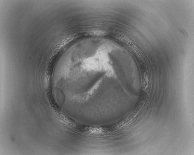 X0000116020355200912041755