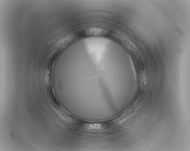 X0000116020361200912041755