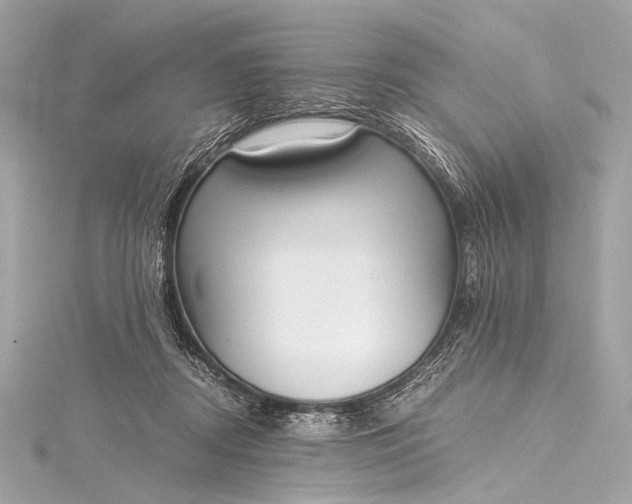 X0000116020362200912041755