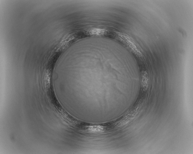 X0000116020363200912041755