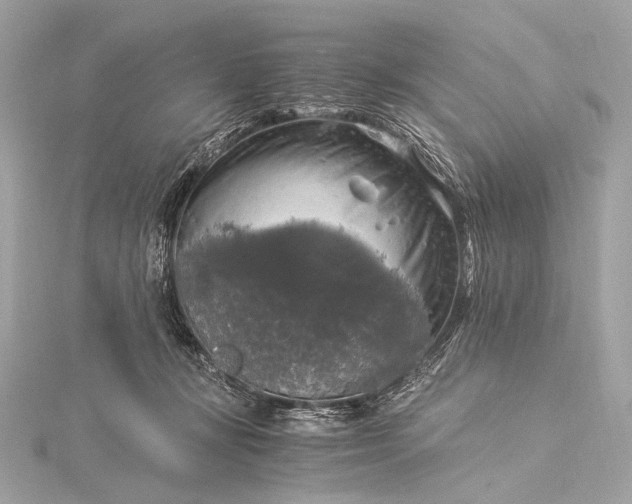 X0000116020367200912041755