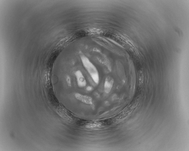 X0000116020369200912041755