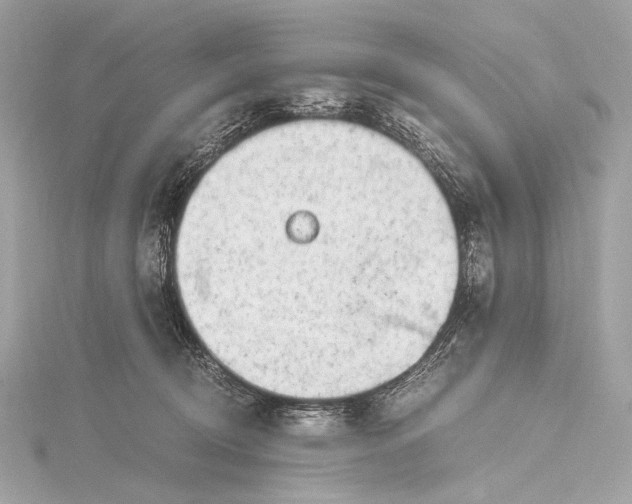 X0000116020370200912041755