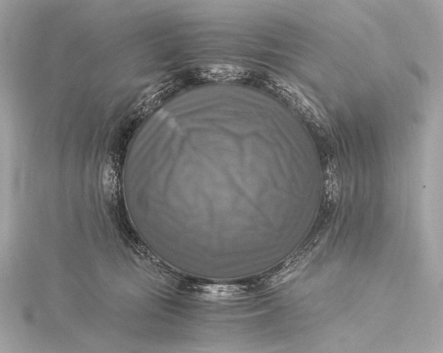 X0000116020371200912041755