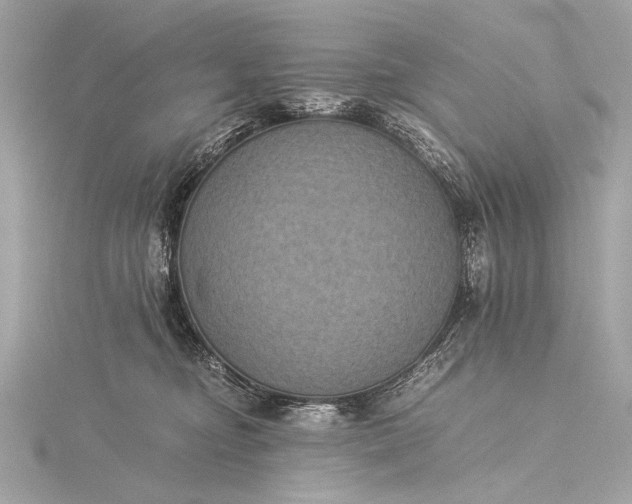 X0000116020374200912041755