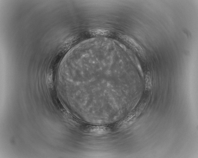 X0000116020377200912041755