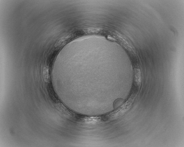 X0000116020378200912041755