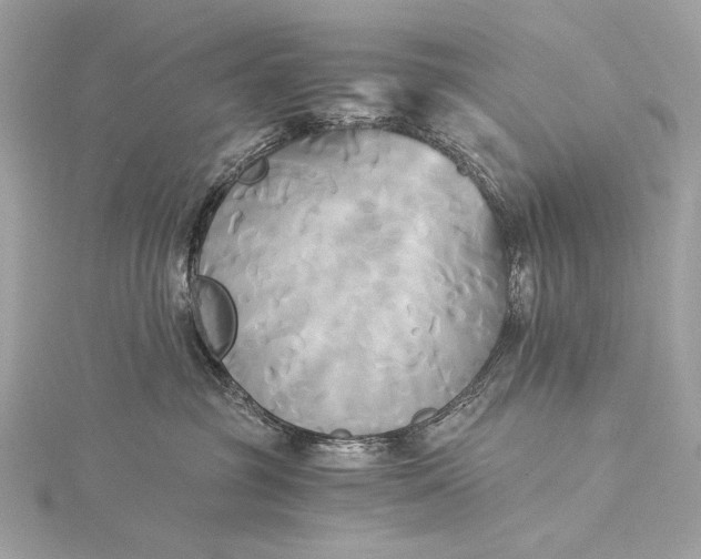 X0000116020381200912041755