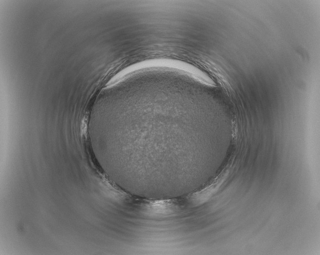 X0000116020382200912041755