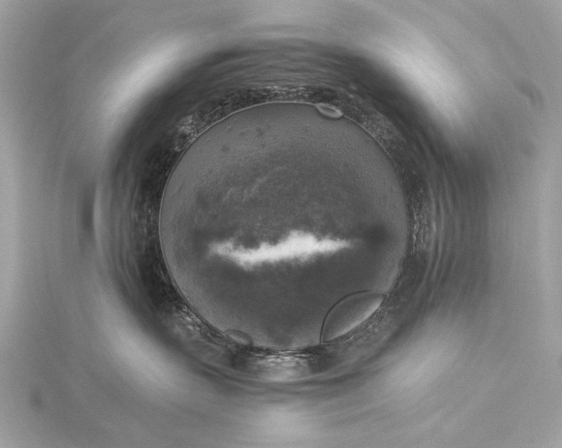 X0000116020383200912041755