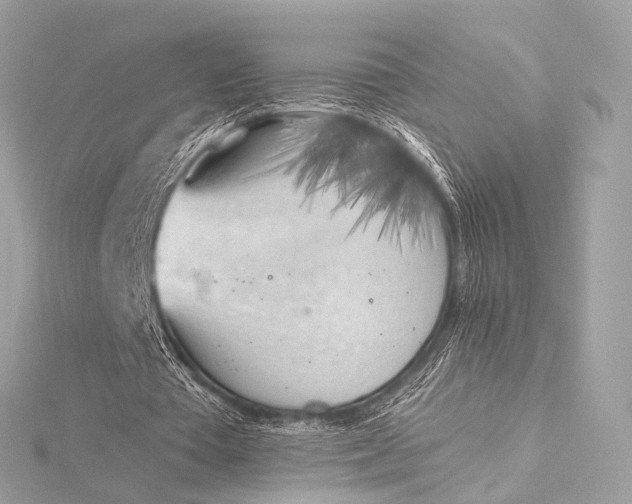 X0000116020385200912041755