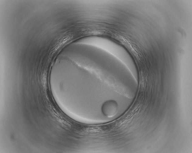 X0000116020386200912041754