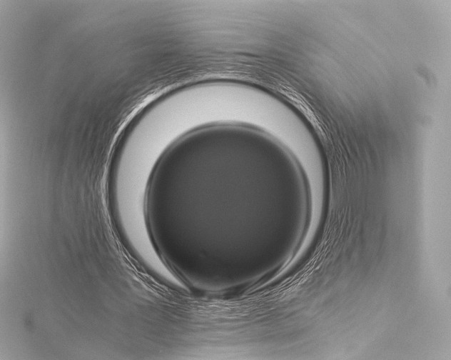 X0000116020387200912041754