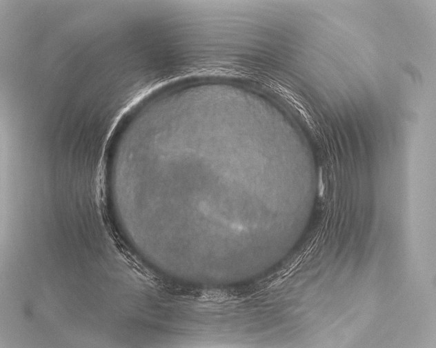 X0000116020388200912041754