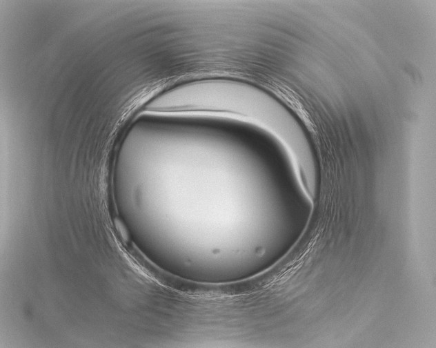 X0000116020389200912041754