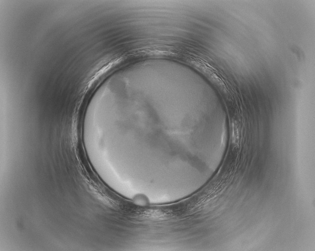 X0000116020390200912041754