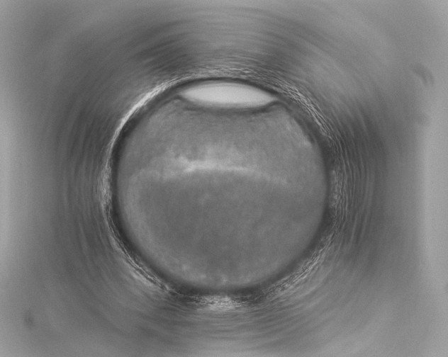 X0000116020392200912041754