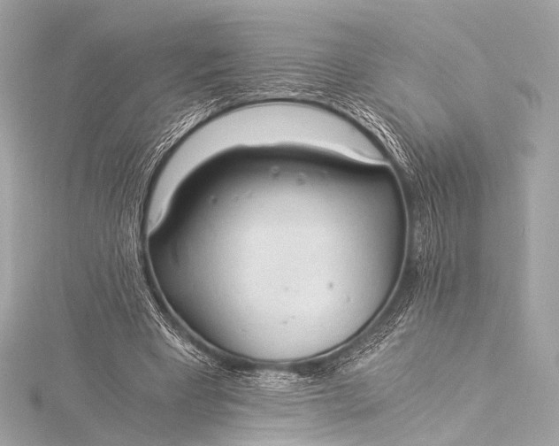 X0000116020393200912041754