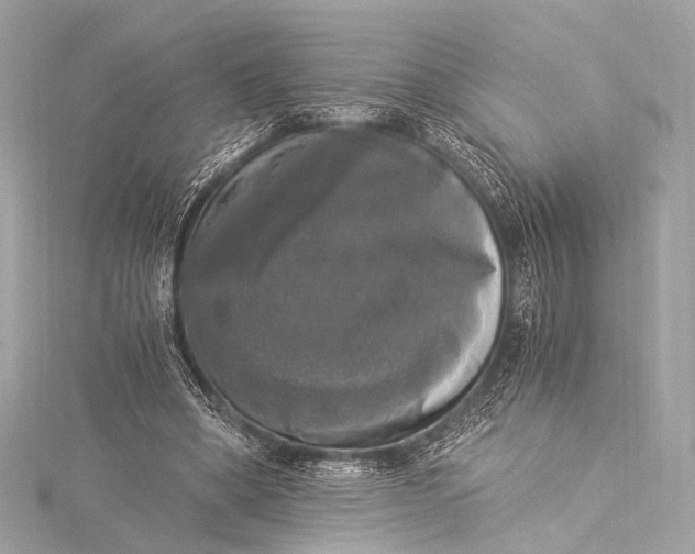 X0000116020394200912041754