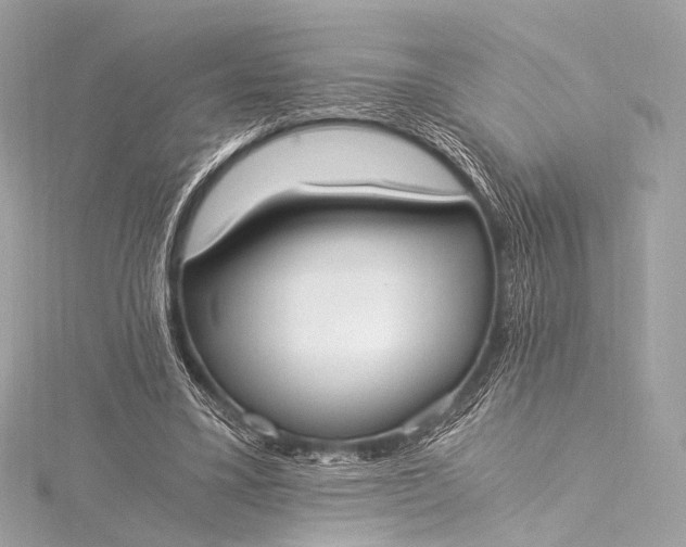 X0000116020395200912041754