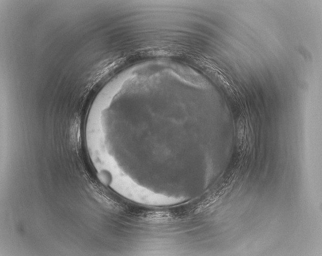 X0000116020398200912041754