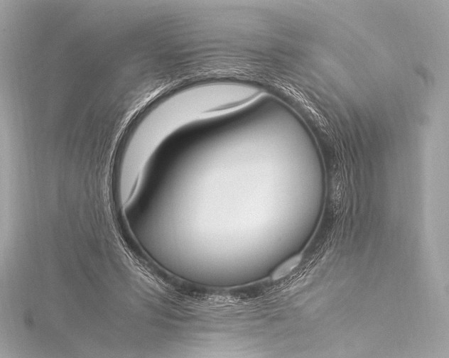 X0000116020399200912041754