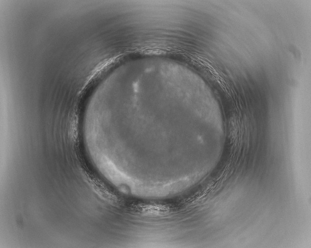 X0000116020400200912041754