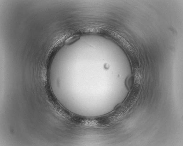 X0000116020403200912041754