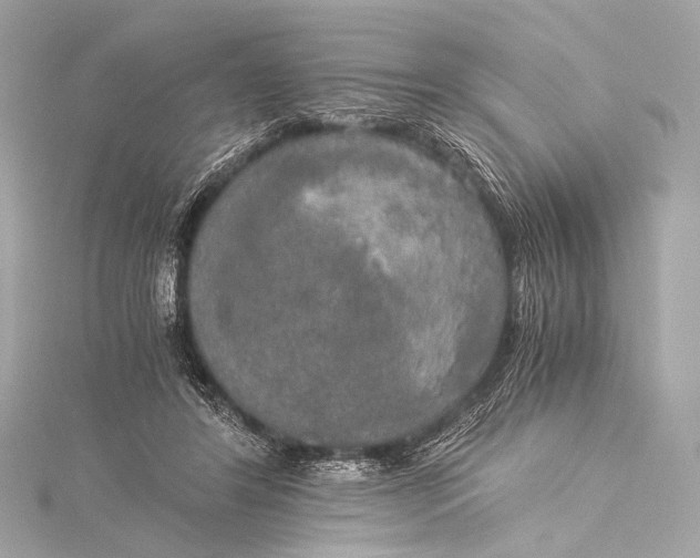 X0000116020404200912041754