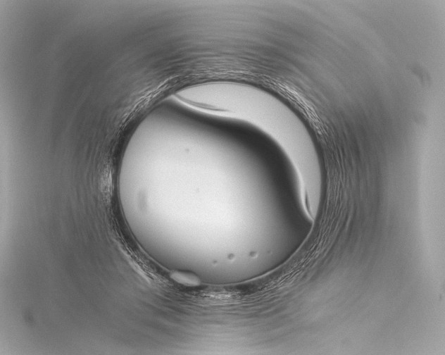 X0000116020405200912041754