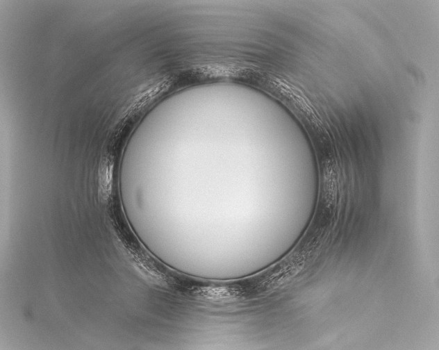 X0000116020406200912041754