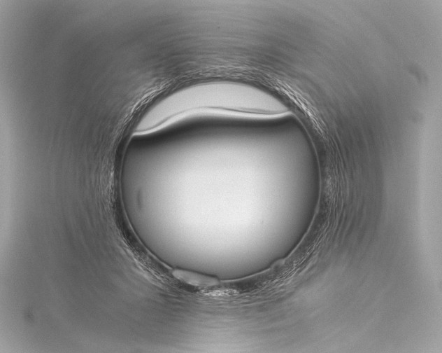 X0000116020407200912041754