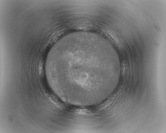 X0000116020408200912041754