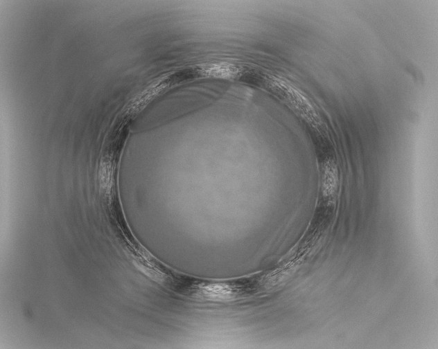 X0000116020409200912041754