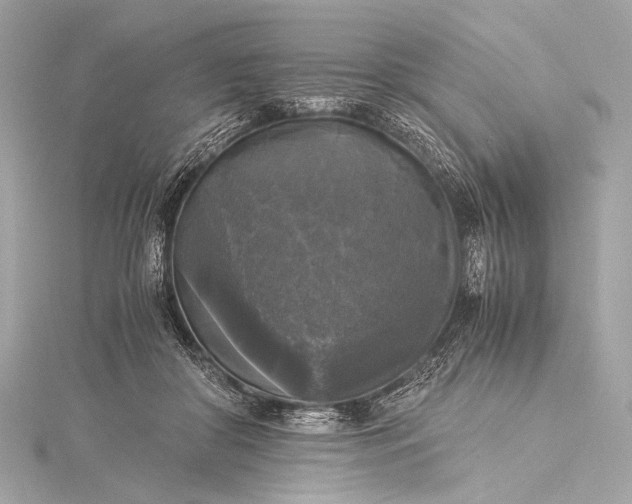 X0000116020410200912041754