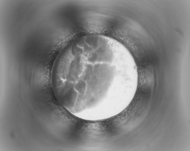 X0000116020411200912041754