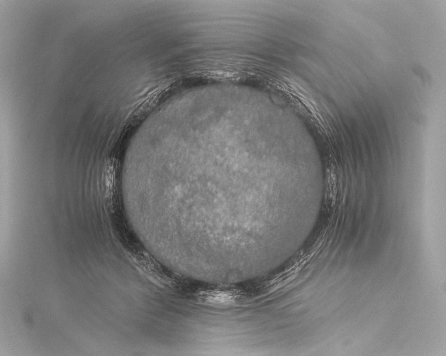 X0000116020412200912041754