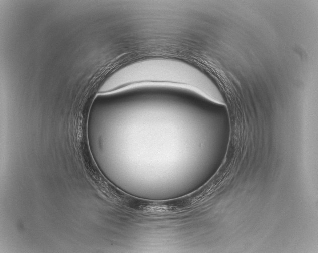 X0000116020413200912041754