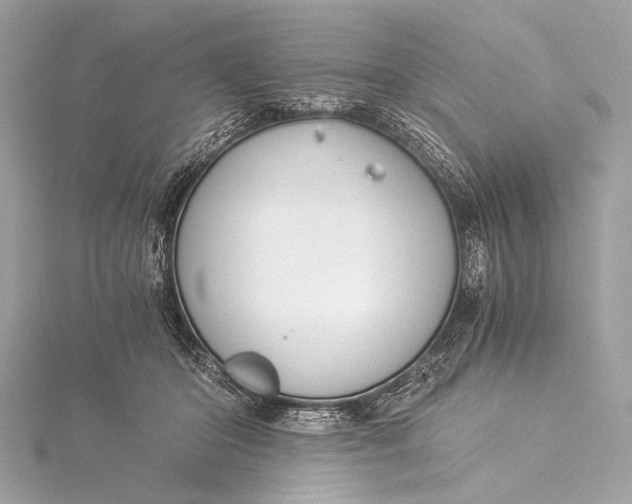 X0000116020414200912041754