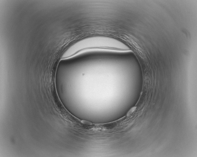 X0000116020415200912041754