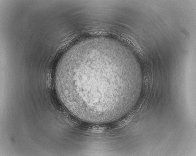 X0000116020416200912041754