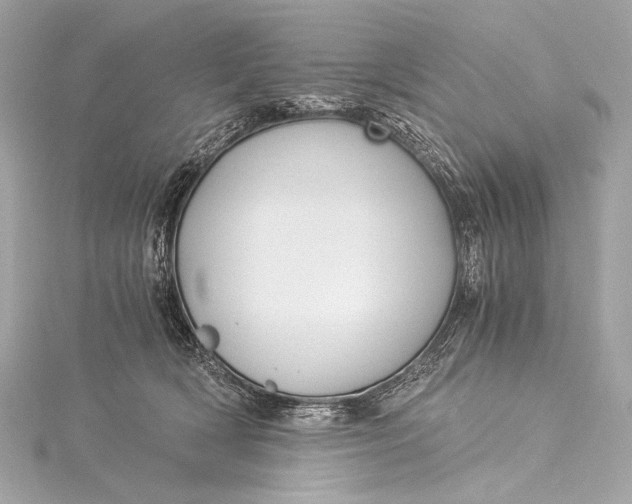 X0000116020418200912041754